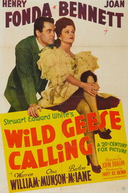 Wild Geese Calling