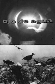 Ojo de Agua