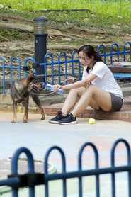 Puppy