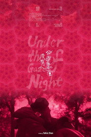 Under the Gaze of Night