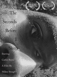 In the Seconds Before I Sleep