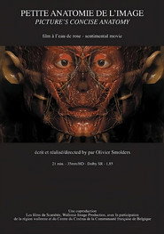 Petite anatomie de l'image