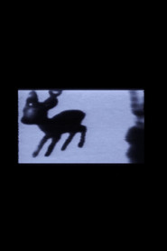 Where’s Bambi?
