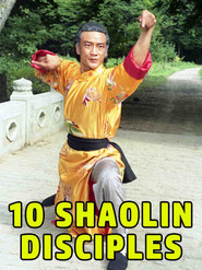 Shaolin Teenage Heroines