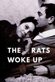 The Rats Woke Up