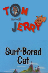 Surf-Bored Cat