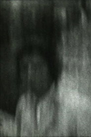 The Carnivore