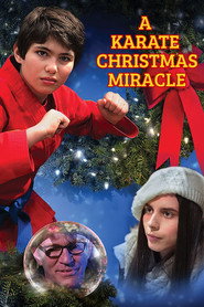 A Karate Christmas Miracle