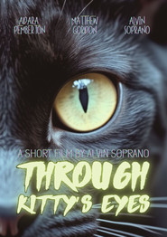 Through Kitty’s Eyes