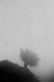 Only If You Could See a View Above the Clouds