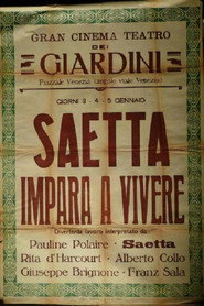 Saetta impara a vivere