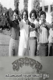 Punadhirallu