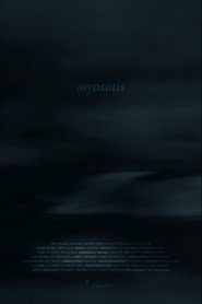 Myosotis