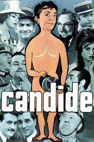 Candide or The Optimism in the 20th Century