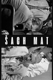 Šach mat