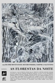 As Florestas da Noite