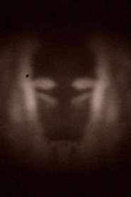 L’effet miroir
