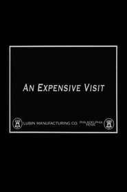 An Expensive Visit