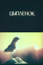 Little Chicken