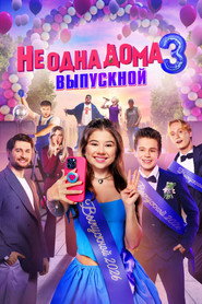 Home Not Alone 3