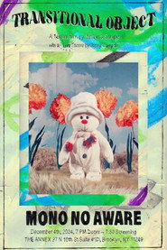 Transitional Object