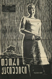 The Girl in White