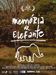 Memória de Elefante