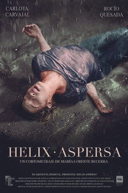 Helix Aspersa