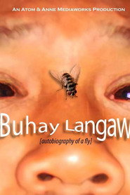Autobiography of a Fly