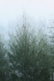 Wind