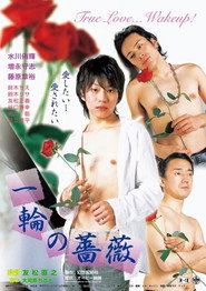 A Single Rose