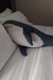 Brutus Shark