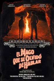 El Mago que se Olvidó de Hablar