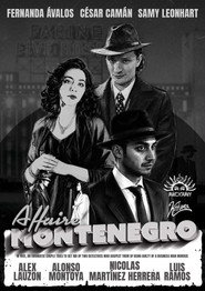 The Montenegro Affair