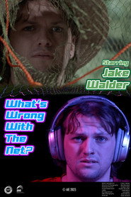 What's Wrong with the Net?