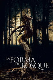 The Shape of the Woods