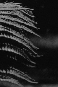 emergence