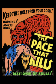 The Pace That Kills