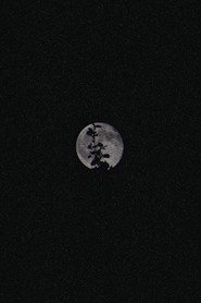 Lunar Visions II