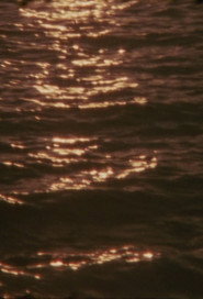 Umbra Viventis Lucis