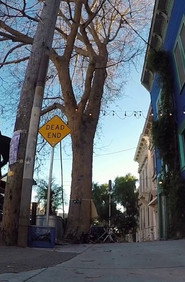 Tree Listening Test