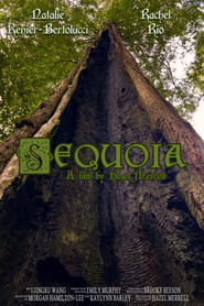 Sequoia