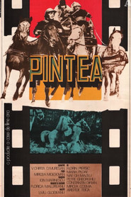 Pintea