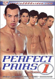 Perfect Pairs