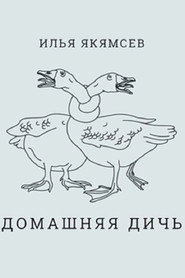 Ilya Yakyamsev: Domestic Game
