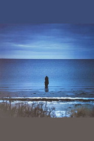 Steven Wilson: Catalogue / Preserve / Amass
