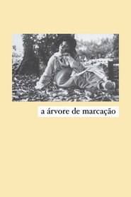 A Árvore de Marcação