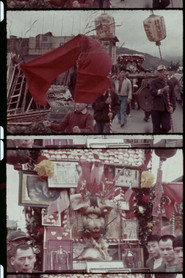 Archive / The Sacred Pig Competition of Sansia