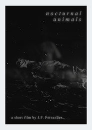 Nocturnal Animals