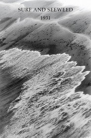 Surf and Seaweed